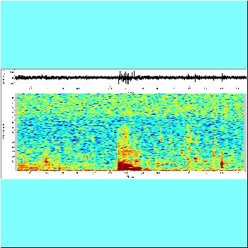 Hoplerythrinus unitaeniatus_spectrogram.png